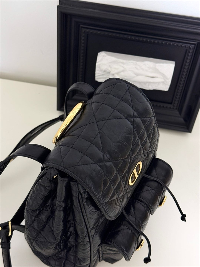 DIOR 디올 백팩 D66370