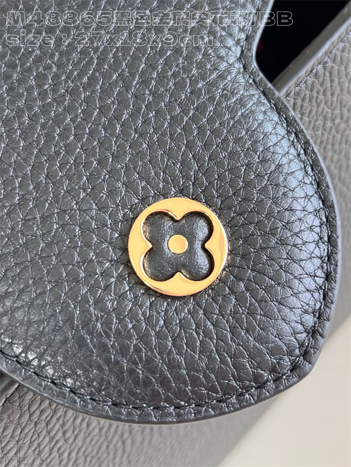 LOUIS VUITTON 루이비통 카푸신 PM M48865