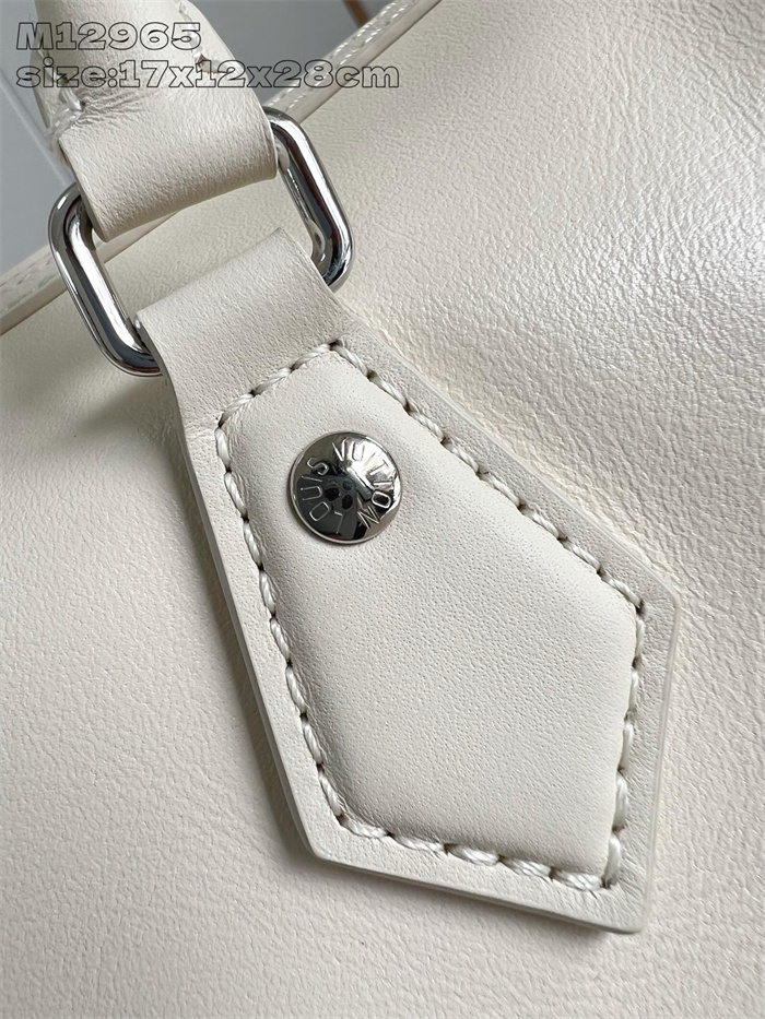 LOUIS VUITTON 루이비통 스피디 카고 바이브 토트백 M12965