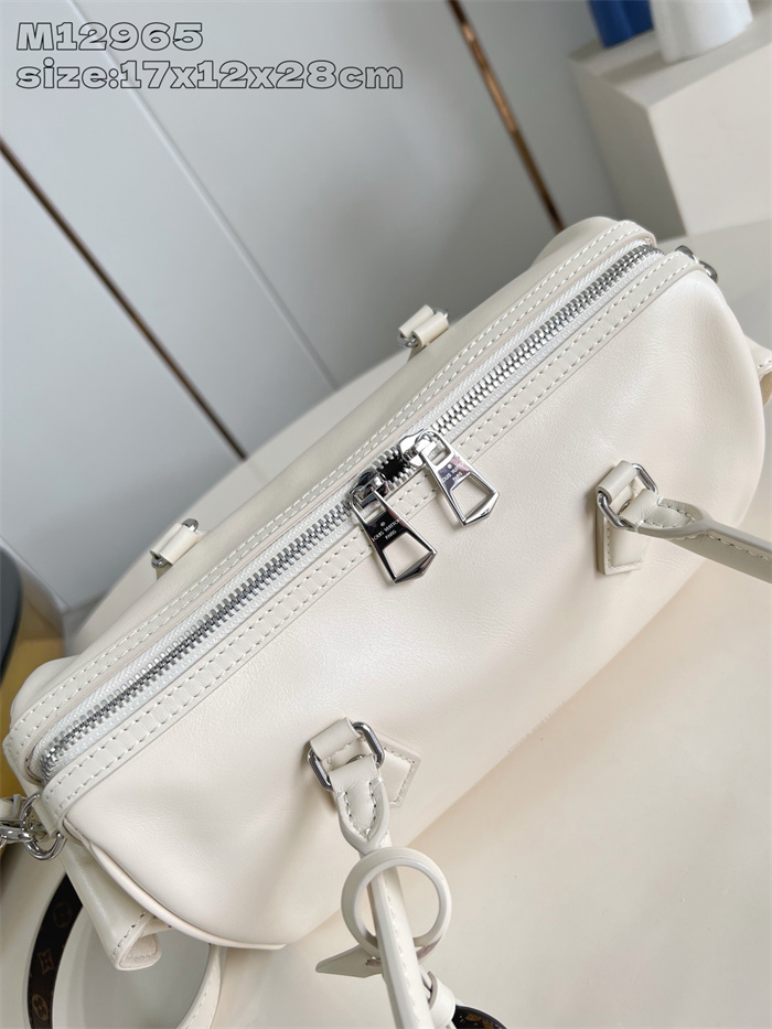 LOUIS VUITTON 루이비통 스피디 카고 바이브 토트백 M12965