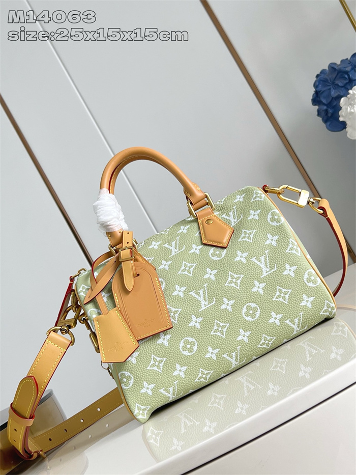 LOUIS VUITTON 스피디 P9 반둘리에 25 모노그램 M14063