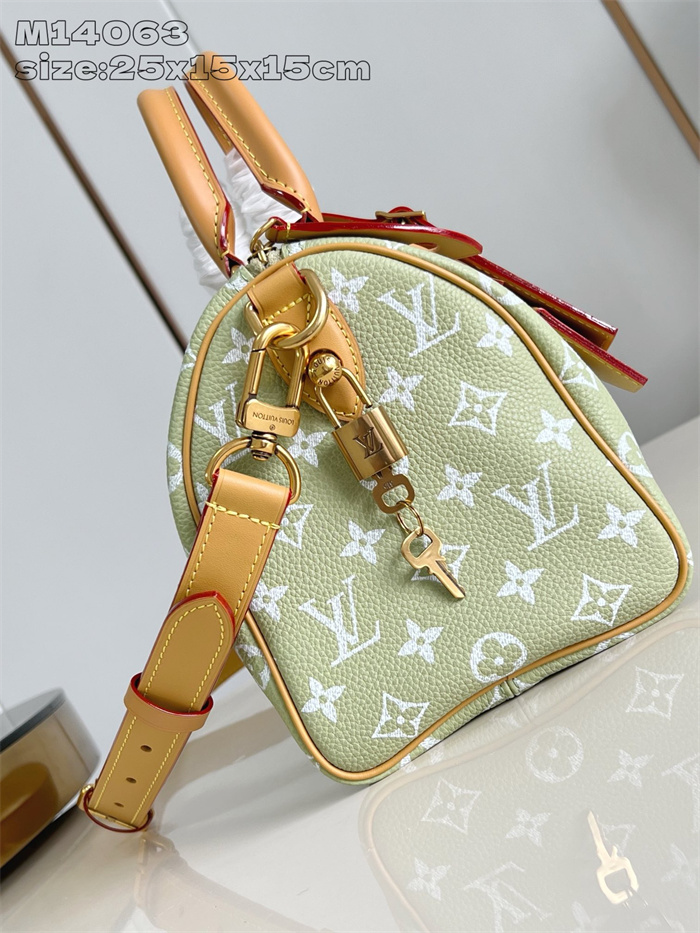 LOUIS VUITTON 스피디 P9 반둘리에 25 모노그램 M14063