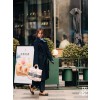 CHANEL 샤넬 도빌 백 AS3519