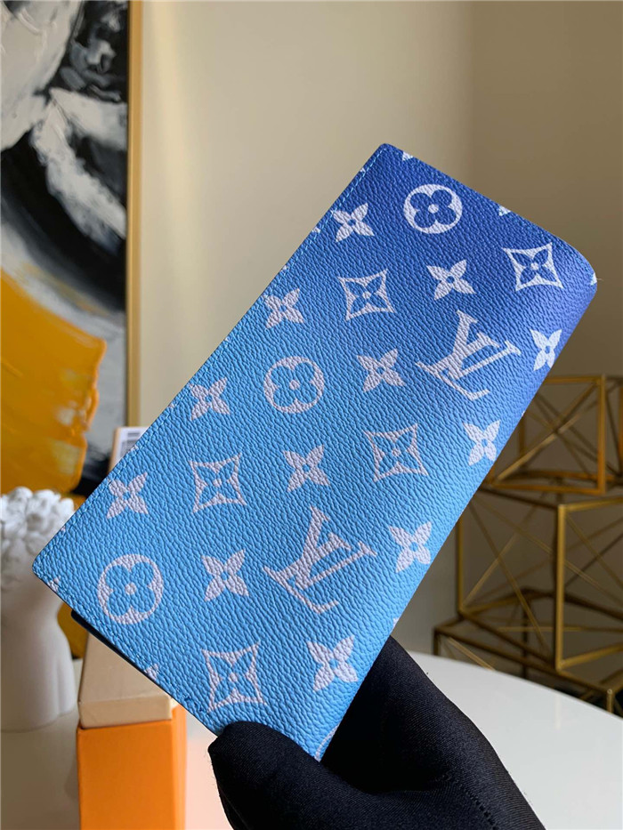 루이비통 바자 장지갑 M48456 2020/신상