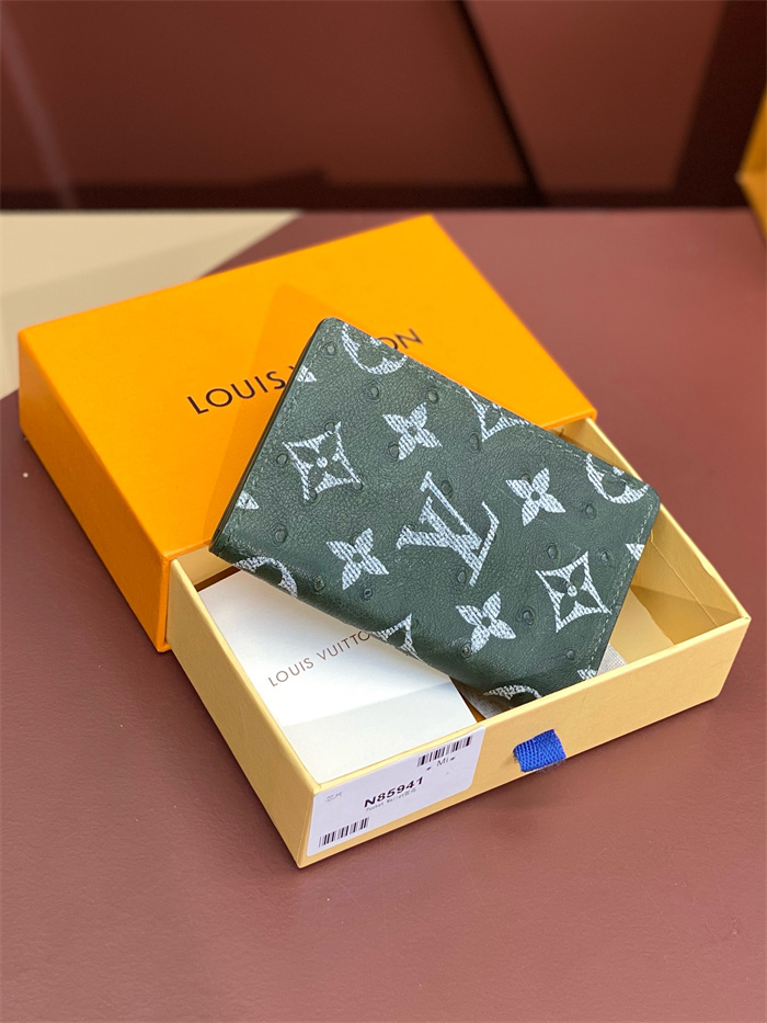 LOUIS VUITTON 루이비통 카드/명함지갑 N85941 2024/신상