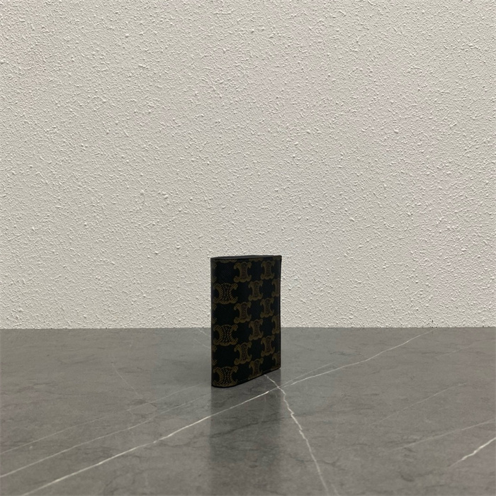 CELINE 셀린느 카드/명함지갑 100599 2024/신상