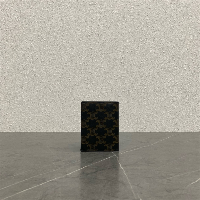 CELINE 셀린느 카드/명함지갑 100599 2024/신상