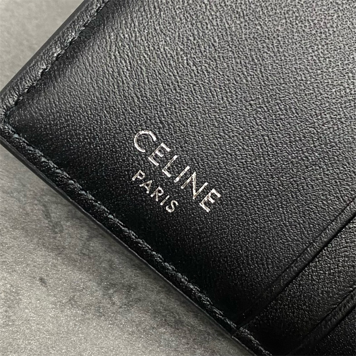CELINE 셀린느 카드/명함지갑 100599 2024/신상
